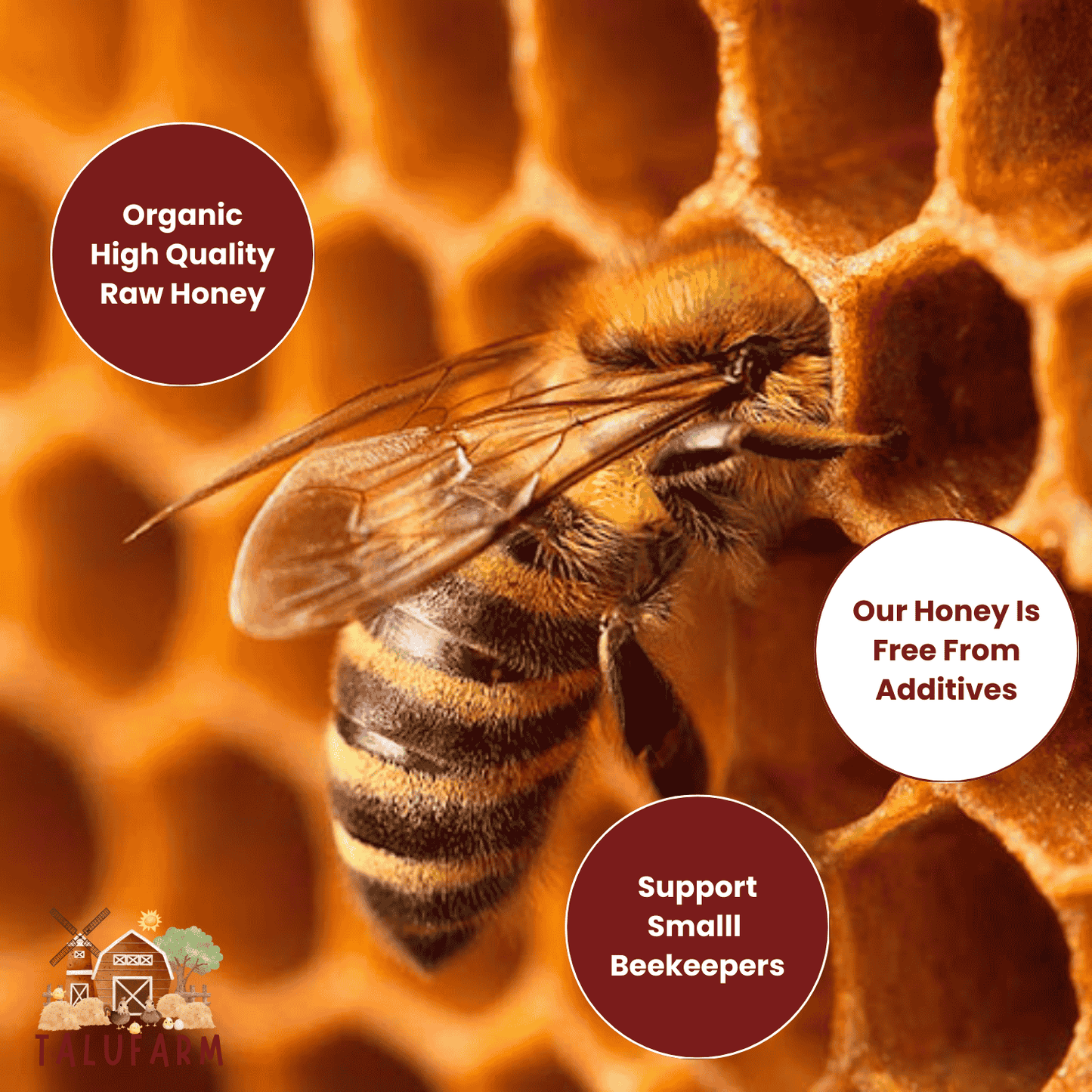 Organic Tallow Balm - 2 oz