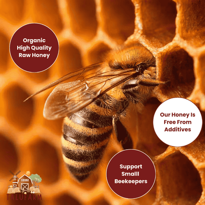 Organic Tallow Balm - 2 oz